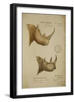 White Rhino and African Rhino, C.1860-John Hanning Speke-Framed Giclee Print