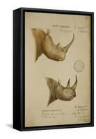 White Rhino and African Rhino, C.1860-John Hanning Speke-Framed Stretched Canvas