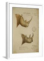 White Rhino and African Rhino, C.1860-John Hanning Speke-Framed Giclee Print