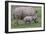 White Rhino and Baby-Lantern Press-Framed Art Print