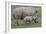 White Rhino and Baby-Lantern Press-Framed Art Print