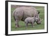 White Rhino and Baby-Lantern Press-Framed Art Print