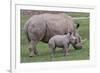 White Rhino and Baby-Lantern Press-Framed Premium Giclee Print