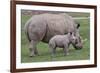White Rhino and Baby-Lantern Press-Framed Premium Giclee Print