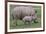 White Rhino and Baby-Lantern Press-Framed Art Print