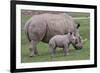 White Rhino and Baby-Lantern Press-Framed Art Print