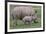 White Rhino and Baby-Lantern Press-Framed Art Print