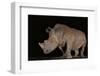 White rhino (Ceratotherium simum) at night, Zimanga private game reserve, KwaZulu-Natal-Ann and Steve Toon-Framed Photographic Print