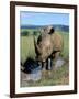 White Rhino (Ceratotherium Simum) Cooling Off, Itala Game Reserve, South Africa, Africa-Steve & Ann Toon-Framed Photographic Print