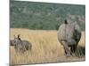 White Rhino (Ceratotherium Simum) Mother and Calf, Itala Game Reserve, South Africa, Africa-Steve & Ann Toon-Mounted Photographic Print