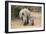 White Rhino (Ceratotherium Simum) with Calf, Mkhuze Game Reserve, Kwazulu-Natal-Ann & Steve Toon-Framed Photographic Print