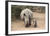 White Rhino (Ceratotherium Simum) with Calf, Mkhuze Game Reserve, Kwazulu-Natal-Ann & Steve Toon-Framed Photographic Print