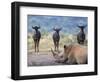 White Rhino, Hluhluwe Umfolozi Park, Kwazulu Natal, South Africa, Africa-Toon Ann & Steve-Framed Photographic Print