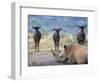 White Rhino, Hluhluwe Umfolozi Park, Kwazulu Natal, South Africa, Africa-Toon Ann & Steve-Framed Photographic Print