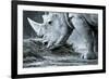 White Rhino In Black And White Eating-goinyk-Framed Photographic Print