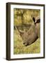 White Rhino, Sabi Sabi Reserve, South Africa-Paul Souders-Framed Photographic Print