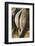 White Rhino Tail, Sabi Sabi Reserve, South Africa-Paul Souders-Framed Photographic Print