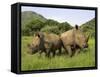 White Rhino, with Calf in Pilanesberg Game Reserve, South Africa-Steve & Ann Toon-Framed Stretched Canvas