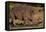 White Rhino-Howard Ruby-Framed Stretched Canvas