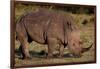 White Rhino-Howard Ruby-Framed Photographic Print