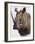 White Rhinoceros, 1980-English School-Framed Giclee Print