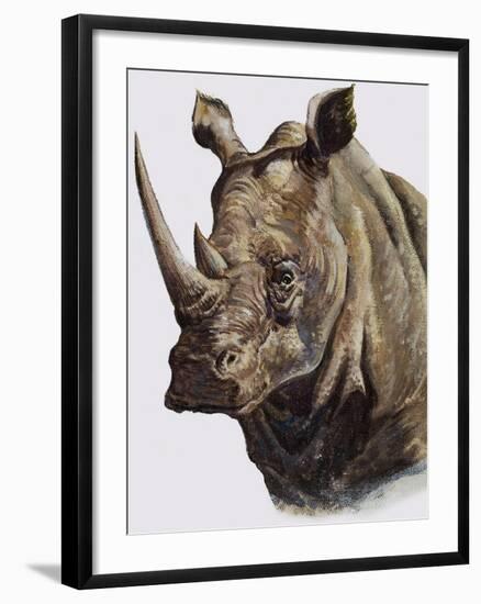 White Rhinoceros, 1980-English School-Framed Giclee Print