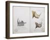 White Rhinoceros and African Rhinoceros, 1862-John Hanning Speke-Framed Giclee Print