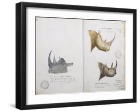 White Rhinoceros and African Rhinoceros, 1862-John Hanning Speke-Framed Giclee Print