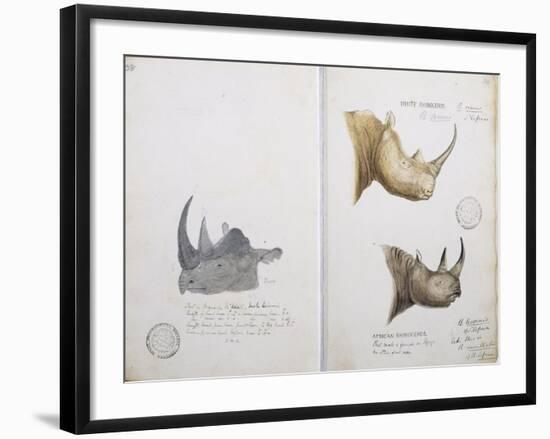 White Rhinoceros and African Rhinoceros, 1862-John Hanning Speke-Framed Giclee Print