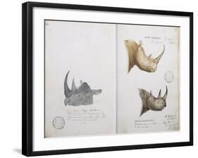 White Rhinoceros and African Rhinoceros, 1862-John Hanning Speke-Framed Giclee Print