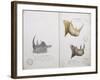 White Rhinoceros and African Rhinoceros, 1862-John Hanning Speke-Framed Giclee Print