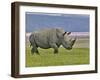 White Rhinoceros and Lesser Flamingos, Lake Nakuru National Park, Kenya-Adam Jones-Framed Photographic Print