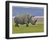 White Rhinoceros and Lesser Flamingos, Lake Nakuru National Park, Kenya-Adam Jones-Framed Photographic Print