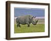 White Rhinoceros and Lesser Flamingos, Lake Nakuru National Park, Kenya-Adam Jones-Framed Photographic Print