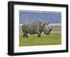 White Rhinoceros and Lesser Flamingos, Lake Nakuru National Park, Kenya-Adam Jones-Framed Photographic Print