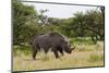 White Rhinoceros at Etosha National Park-Circumnavigation-Mounted Photographic Print