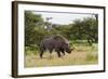 White Rhinoceros at Etosha National Park-Circumnavigation-Framed Photographic Print