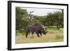 White Rhinoceros at Etosha National Park-Circumnavigation-Framed Photographic Print