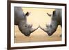 White Rhinoceros (Ceratotherium Simum) Head to Head - Kruger National Park (South Africa)-Johan Swanepoel-Framed Photographic Print