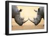 White Rhinoceros (Ceratotherium Simum) Head to Head - Kruger National Park (South Africa)-Johan Swanepoel-Framed Photographic Print