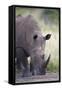 White Rhinoceros (Ceratotherium Simum), Hluhluwe Game Reserve, South Africa, Africa-James Hager-Framed Stretched Canvas