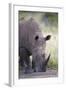 White Rhinoceros (Ceratotherium Simum), Hluhluwe Game Reserve, South Africa, Africa-James Hager-Framed Photographic Print