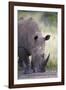 White Rhinoceros (Ceratotherium Simum), Hluhluwe Game Reserve, South Africa, Africa-James Hager-Framed Photographic Print