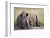 White Rhinoceros (Ceratotherium Simum), Hluhluwe Game Reserve, South Africa, Africa-James Hager-Framed Photographic Print