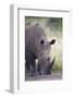 White Rhinoceros (Ceratotherium Simum), Hluhluwe Game Reserve, South Africa, Africa-James Hager-Framed Photographic Print