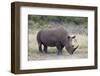 White Rhinoceros (Ceratotherium Simum), Hluhluwe Game Reserve, South Africa, Africa-James Hager-Framed Photographic Print