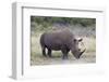 White Rhinoceros (Ceratotherium Simum), Hluhluwe Game Reserve, South Africa, Africa-James Hager-Framed Photographic Print