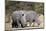 White rhinoceros (Ceratotherium simum), Kalahari, Botswana, Africa-Sergio Pitamitz-Mounted Photographic Print