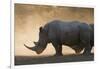 White rhinoceros (Ceratotherium simum), Kalahari, Botswana, Africa-Sergio Pitamitz-Framed Photographic Print