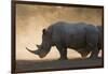 White rhinoceros (Ceratotherium simum), Kalahari, Botswana, Africa-Sergio Pitamitz-Framed Photographic Print